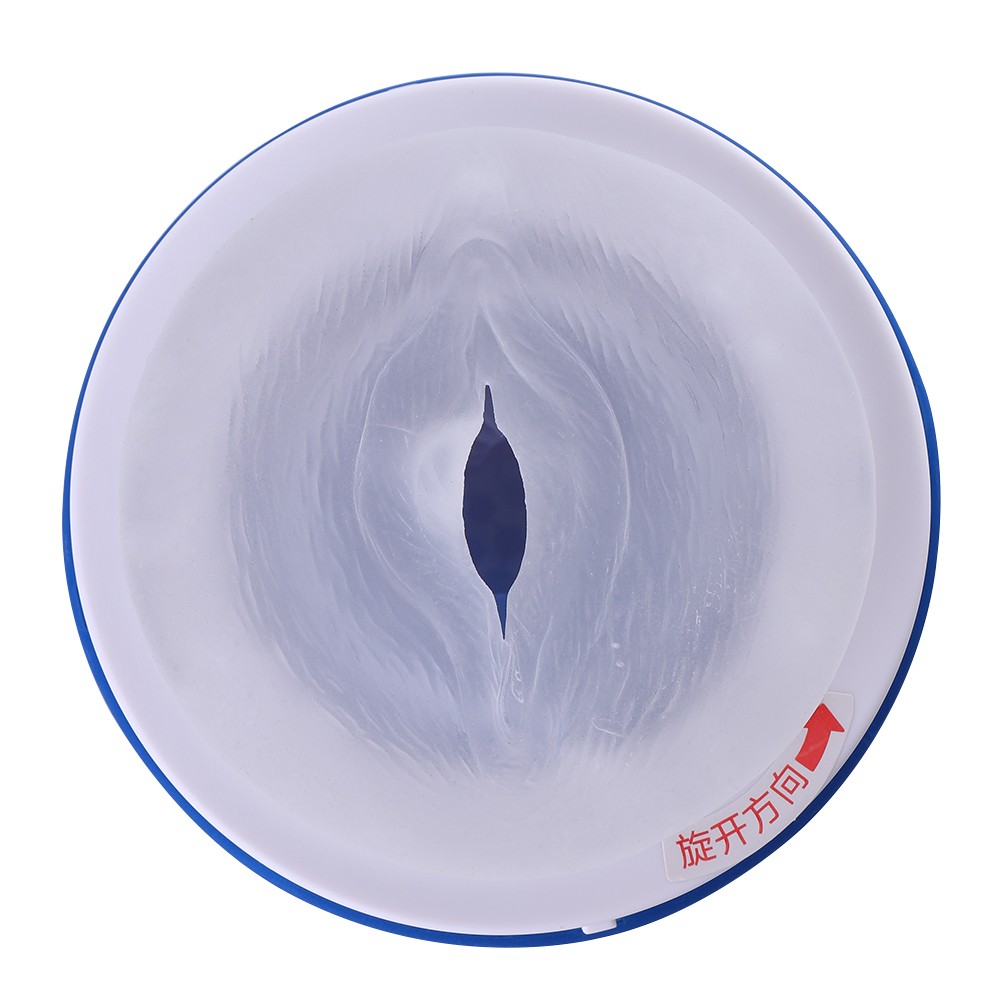 Intelligent Voice Male Automatic Masturbator