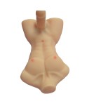 3D-Simulation Männlich Weiblich Hip Mold Penis Female Masturbation Sex Dolls